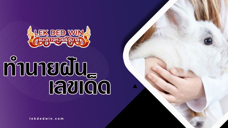 ทำนายฝันอุ้มกระต่าย-พร้อมเลขเด็ด