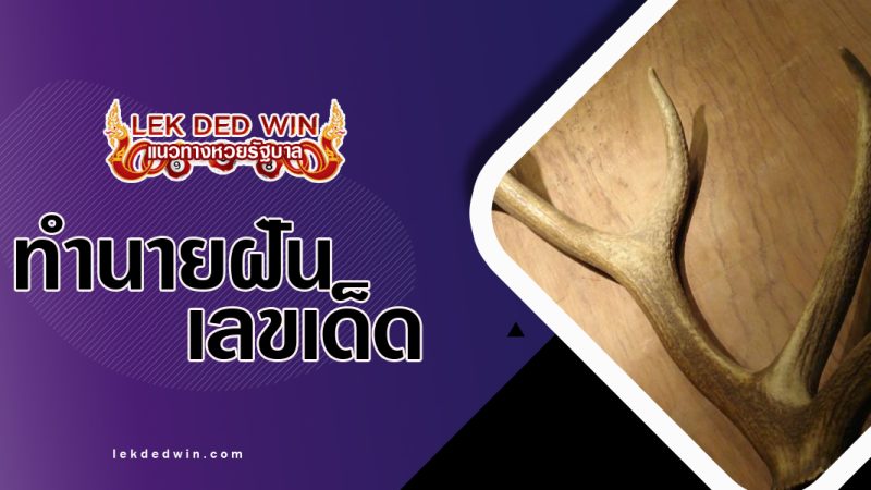 ทำนายฝันเห็นเขากวาง พร้อมเลขเด็ด