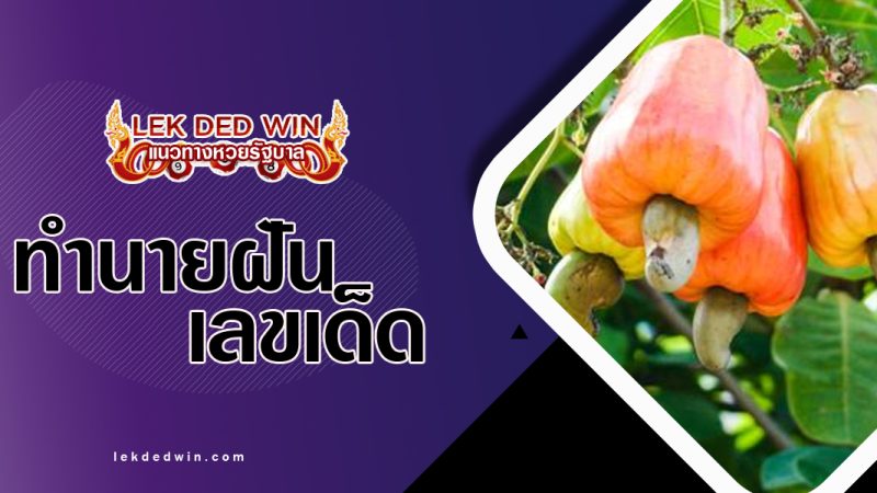 ทำนายฝันเจอต้นหิมพานต์-พร้อมเลขเด็ด