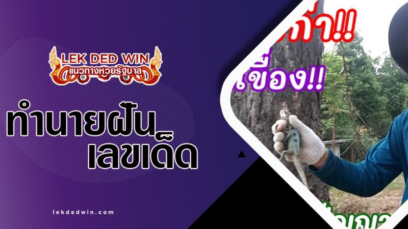 ทำนายฝันได้จับกิ้งก่า-พร้อมเลขเด็ด
