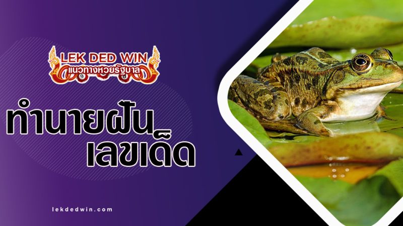 ทำนายฝันได้ยินเสียงกบ-พร้อมเลขเด็ด
