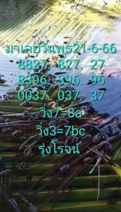 หวยมาเลย์วันนี้ 21/6/66 ชุดที่6