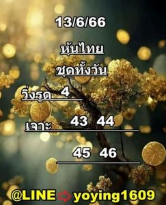 หวยหุ้นวันนี้ 13/6/66 ชุดที่9