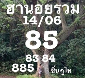 หวยฮานอยวันนี้ 14/6/66 ชุดที่8