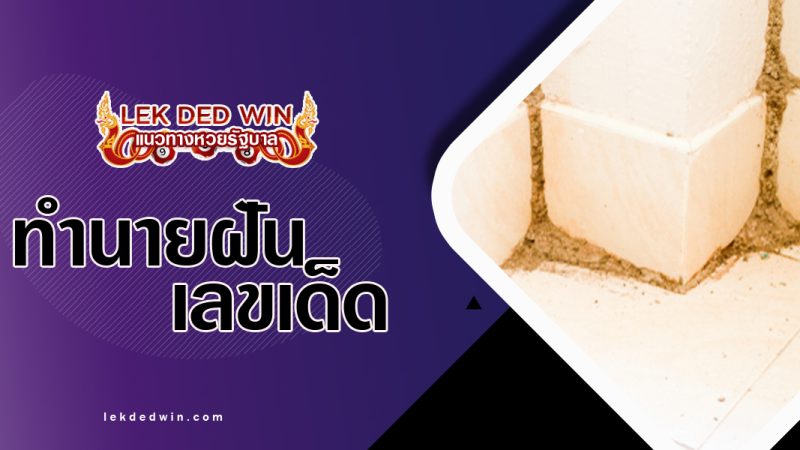 ทำนายฝันปลวกขึ้นบ้าน-พร้อมเลขเด็ด