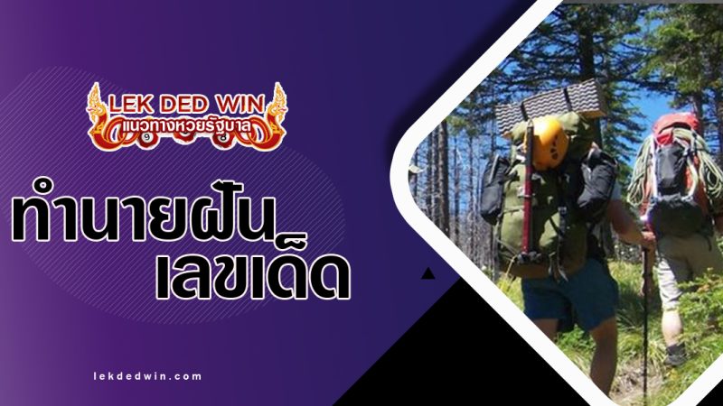 ทำนายฝันเดินทางไปป่า-พร้อมเลขเด็ด