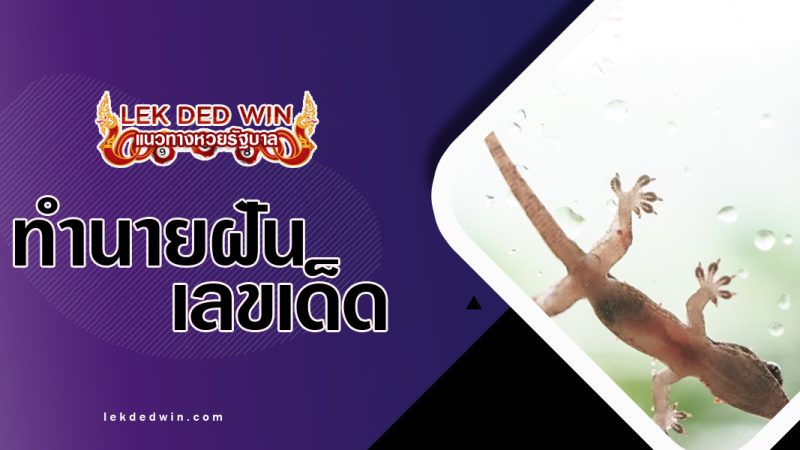 ทำนายฝันเสียงจิ้งจก-พร้อมเลขเด็ด
