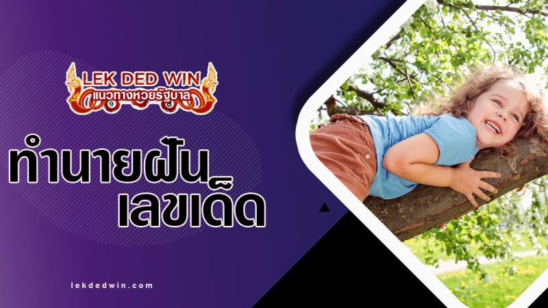 ทำนายฝันได้ปืนต้นไม้ พร้อมเลขเด็ด