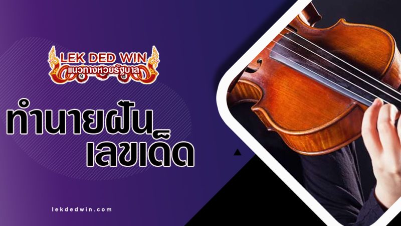 ทำนายฝันเห็นไวโอลิน-พรอมเลขเด้ด