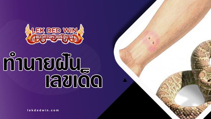 ทำนายฝันโดนงูกัด-พร้อมเลขเด็ด