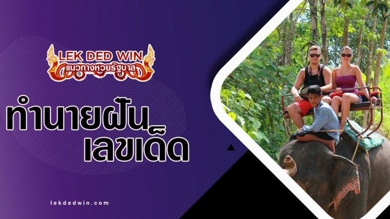 ทำนายฝันได้ขี่ช้าง-พร้อมเลขเด็ด