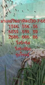 หวยมาเลย์วันนี้ 30/7/66 ชุดที่2