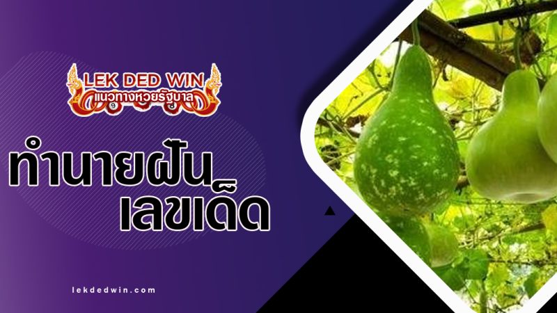 ทำนายฝันจับลูกน้ำเต้า-พร้อมเลขเด็ด