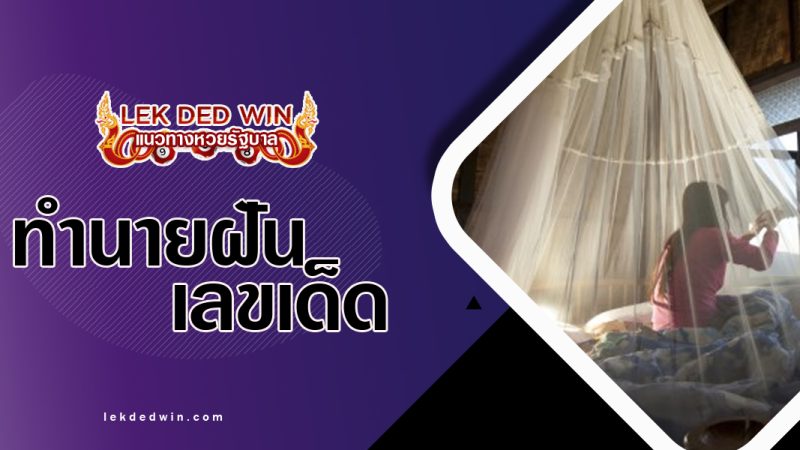 ทำนายฝันนอนในมุ้ง-พร้อมเลขเด็ด