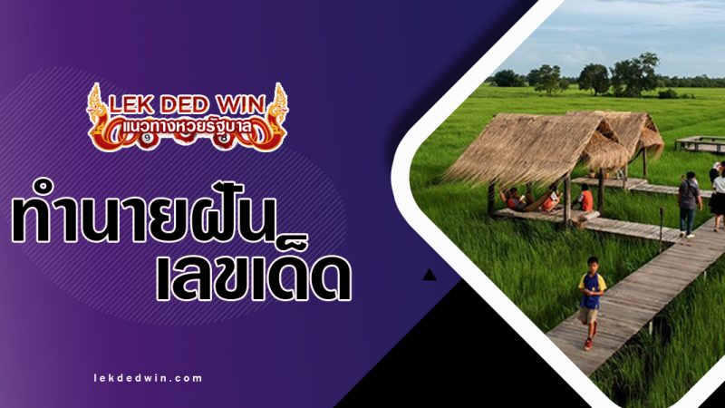 ทำนายฝันเดินไปทุ่งนา-พร้อมเลขเด็ด