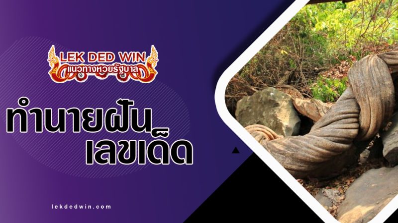 ทำนายฝันเถาวัลย์รัดตัว-พร้อมเลขเด็ด