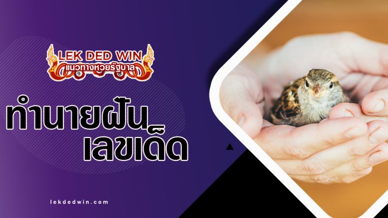 ทำนายฝันได้จับนก-พร้อมเลขเด็ด