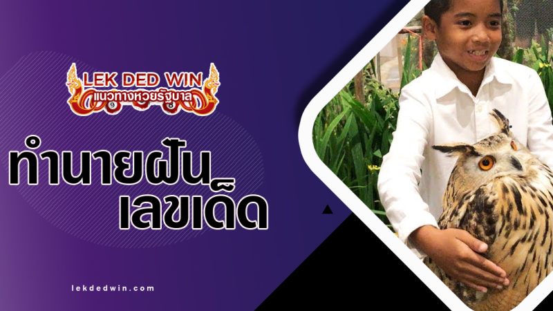 ทำนายฝันได้จับนกฮูก-พร้อมเลขเด็ด
