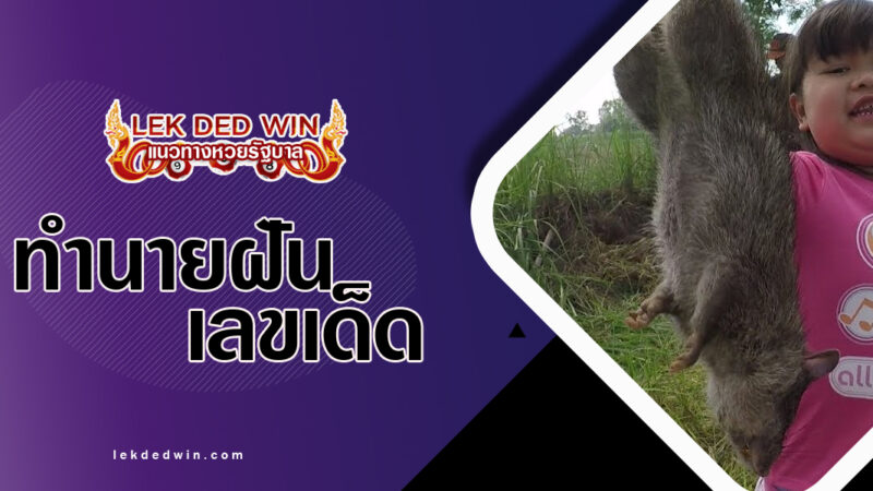 ทำนายฝันได้จับหนู-พร้อมเลขเด็ด