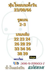 หวยหุ้นวันนี้ 23/8/66 ชุดที่8