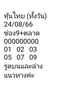 หวยหุ้นวันนี้ 24/8/66 ชุดที่3