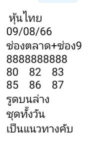 หวยหุ้นวันนี้ 9/8/66 ชุดที่3