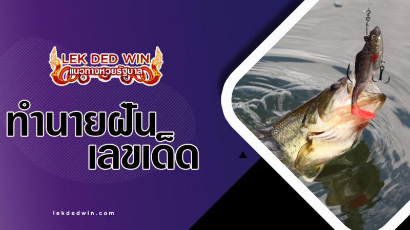 ทำนายฝันจับเข็ดเบ็ด-พร้อมเลขเด็ด
