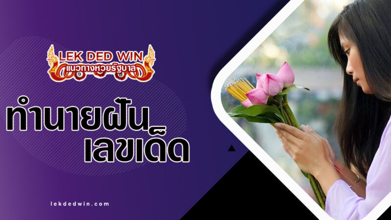 ทำนายฝันถือดอกบัว-พร้อมเลขเด็ด