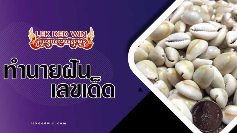 ทำนายฝันเจอหอยเบี้ย พร้อมเลขเด็ด