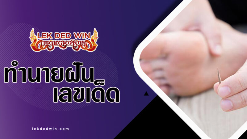 ทำนายฝันโดนหนามไผ่-พร้อมเลขเด็ด