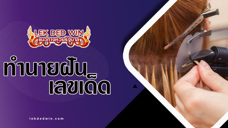 ทำนายฝันได้ต่อผม-พร้อมเลขเด็ด