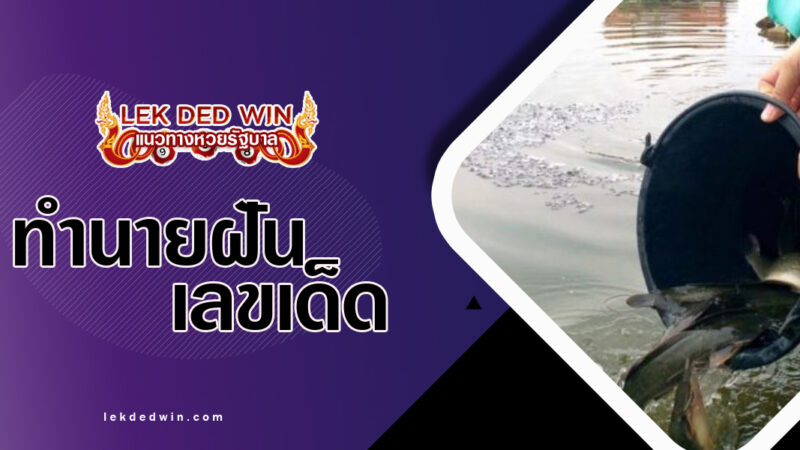 ทำนายฝันได้ปล่อยสัตว์-พร้อมเลขเด็ด