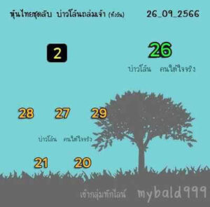 หวยหุ้นวันนี้ 26/9/66 ชุดที่5