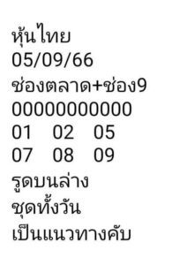 หวยหุ้นวันนี้ 5/9/66 ชุดที่7