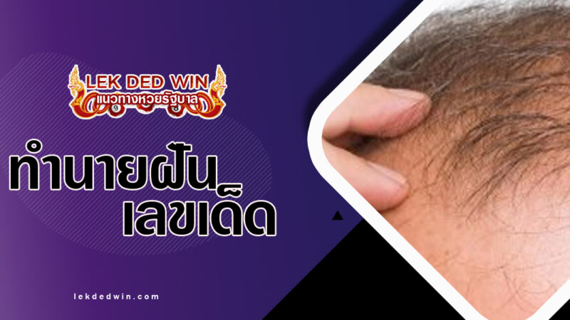 ทำนายฝันคนศีรษะล้าน-พร้อมเลขเด็ด