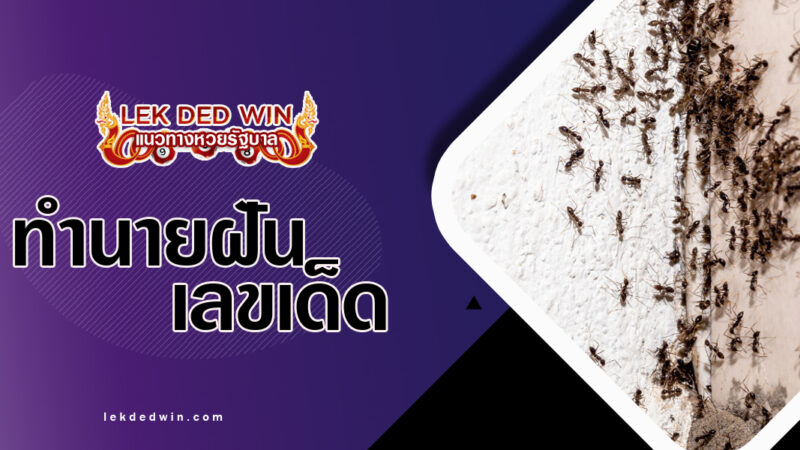 ทำนายฝันมดอยู่ในบ้าน-พร้อมเลขเด็ด