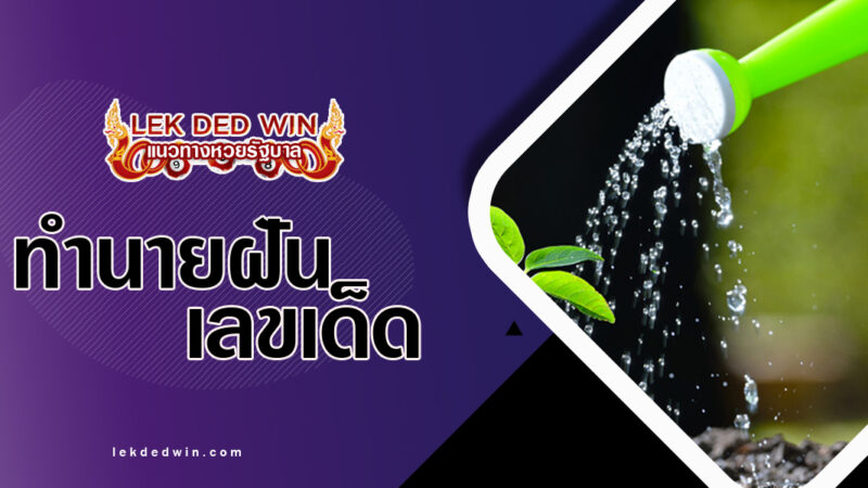 ทำนายฝันรดน้ำต้นไม้-พร้อมเลขเด็ด