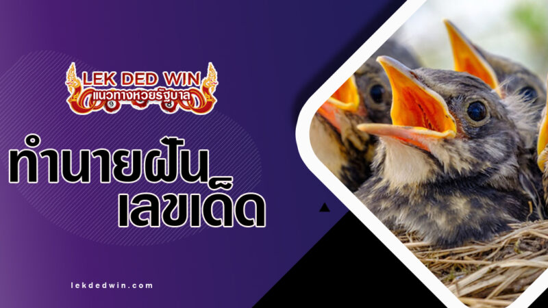 ทำนายฝันรังนกตกต้นไม้-พร้อมเลขเด็ด
