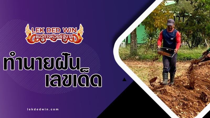 ทำนายฝันอยู่บนมูลดิน-พร้อมเลขเด็ด