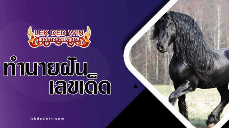 ทำนายฝันเห็นม้าสีดำ-พร้อมเลขเด็ด