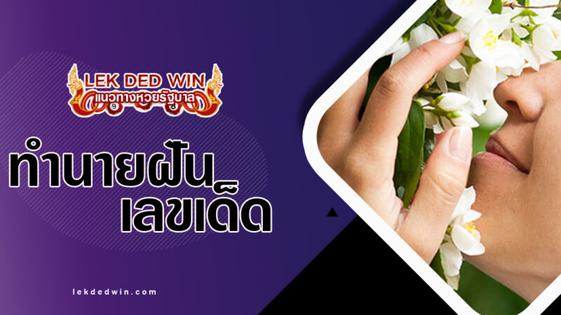 ทำนายฝันได้ดมดอกมะลิ-พร้อมเลขเด็ด