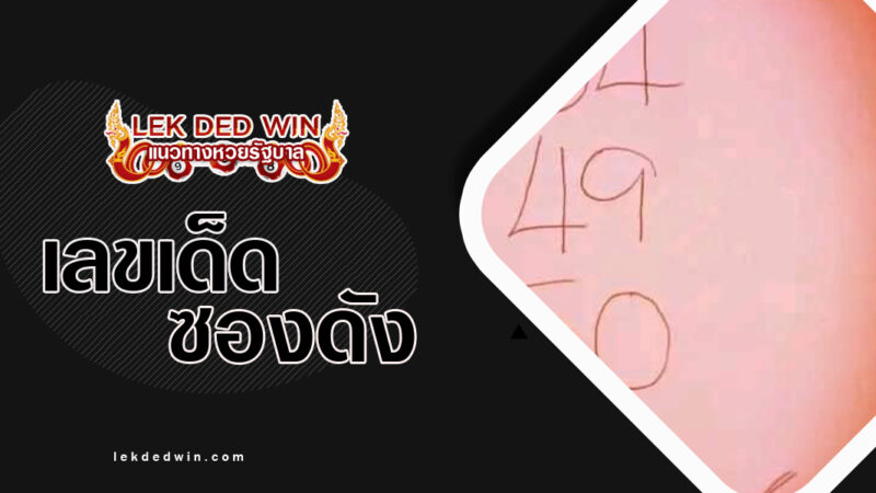 หวยผีเสื้อเทวดาให้โชค-งวด 1/11/66