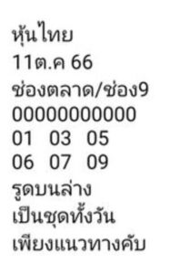 หวยหุ้นวันนี้ 11/10/66 ชุดที่2