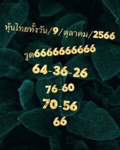 หวยหุ้นวันนี้ 9/10/66 ชุดที่10