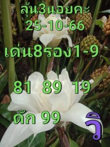 หวยฮานอยวันนี้ 25/10/66 ชุดที่10