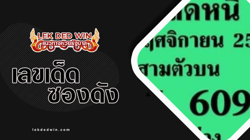 เลขปลดหนี้-งวด 1/11/66