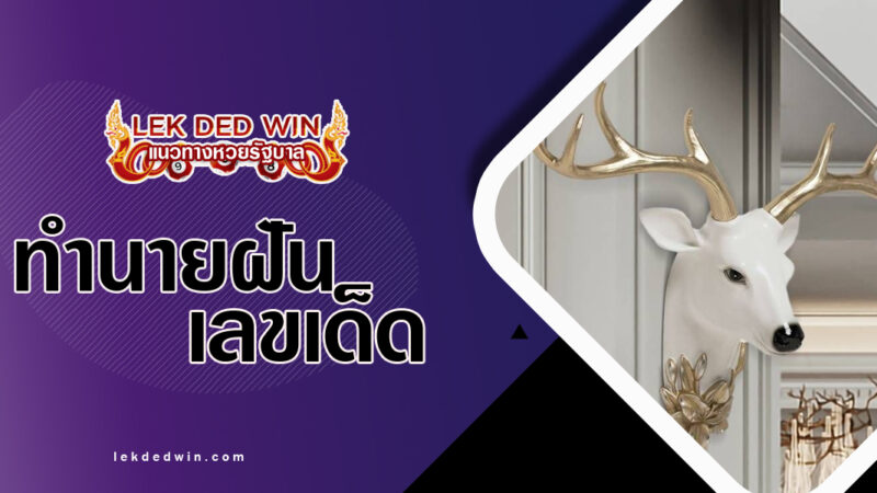 ทำนายฝันเขากวางสวย-พร้อมเลขเด็ด