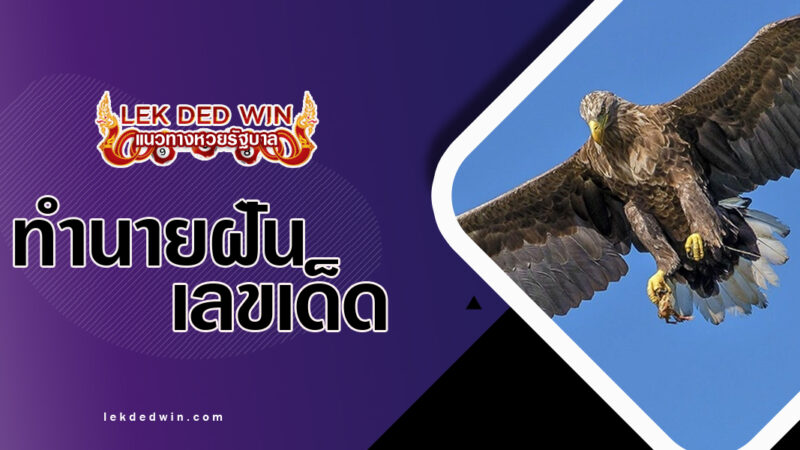ทำนายฝันเห็นนกใหญ่-พร้อมเลขเด็ด
