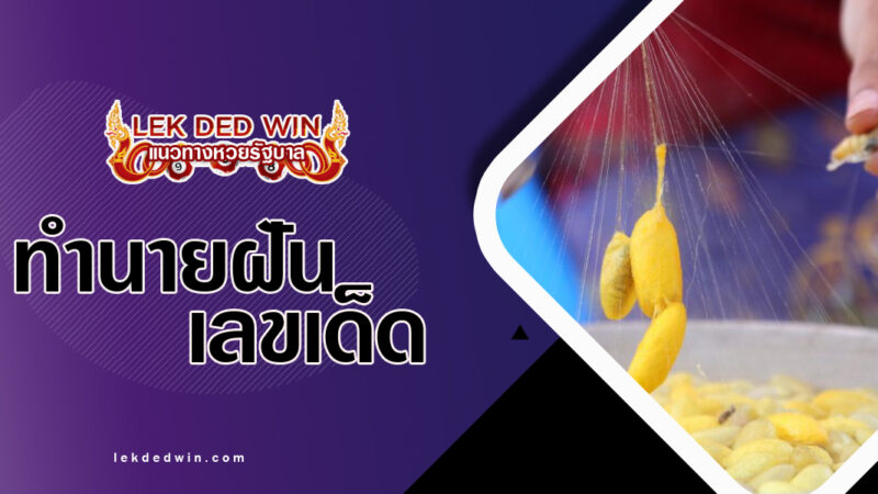 ทำนายฝันเห็นเส้นไหม-พร้อมเลขเด็ด
