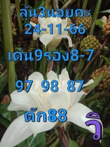 หวยฮานอยวันนี้ 24/11/66 ชุดที่2